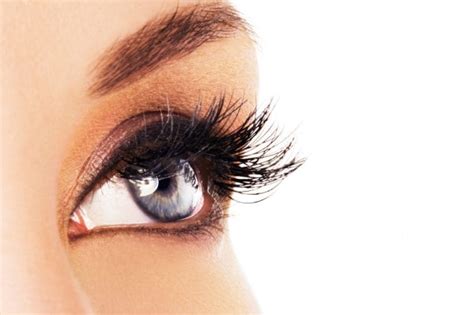 Purpose Of Eyebrows And Eyelashes Functions And Importance Eyestyle