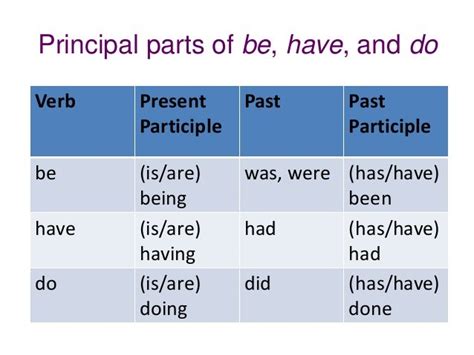 10 Example Verb Past Participle Sentence
