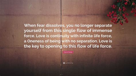 David Deida Quote When Fear Dissolves You No Longer Separate