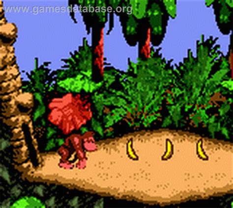 Donkey Kong Country Nintendo Game Boy Color Artwork In Game