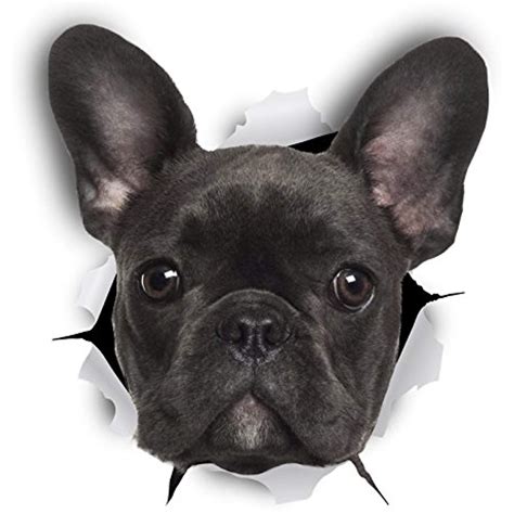 Features and shout outs available. Winston and Bear French Bulldog 3D Dog Stickers - 2 Pack ...