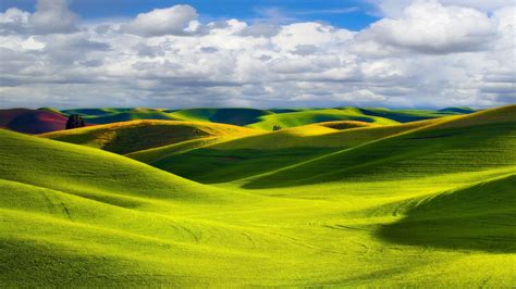 Green Landscape - High Definition Wallpapers - HD wallpapers