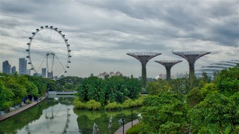 Singapore Will Plant One Million Trees By 2030 Ecowatch