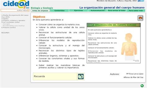 Domina Los Signos Vitales Con Un Mapa Mental De Primeros Auxilios The