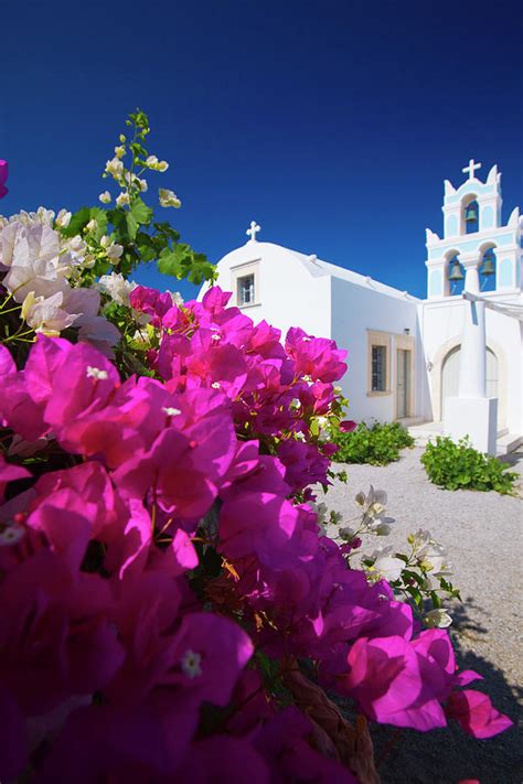 Greek Church And Flowers Santorini Photograph By Sakis Papadopoulos