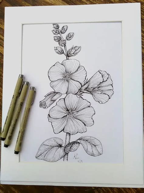 Sketch Bunga Raya Drawing Sketch Drawing Contest 7 Hibiscus Flower