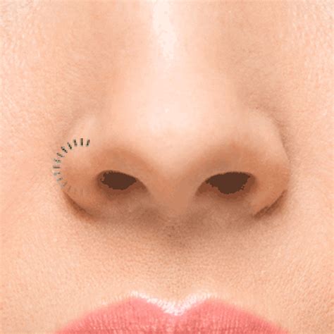 Nose Ring Gifs Find Share On Giphy
