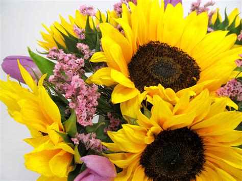 Because of this, nicole's flower is one of the premier florists available online in singapore. Sunflower Bouquet Tutorial - Blooms By The Box