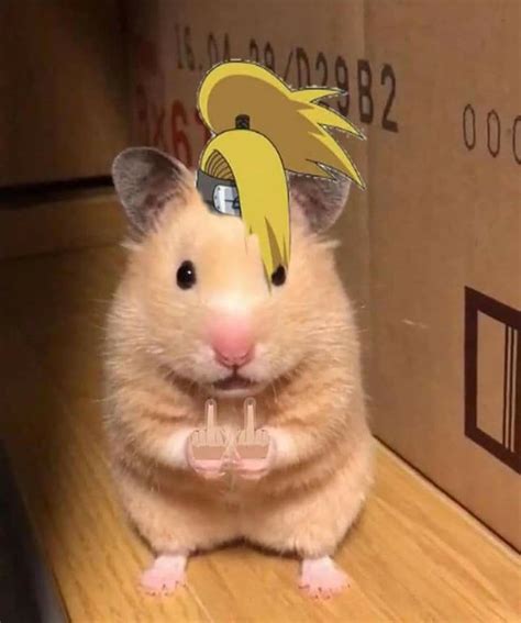 A Hamster With A Cardboard Hat On Its Head Sitting In Front Of A Box