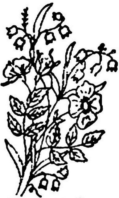 Explore niccivale's photos on flickr. 1886 Ingalls Floral Spray (With images) | Floral spray ...