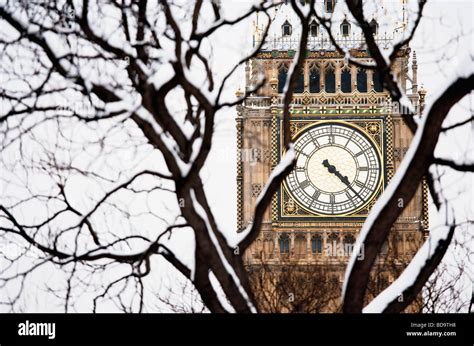 Snow On Tree In Front Of Big Ben London England Stock Photo Alamy