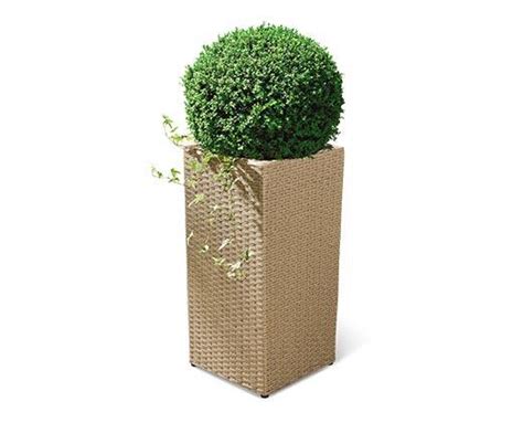 Belavi Tall Rattan Planter Aldi Usa Specials Archive