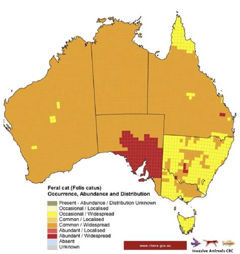 Australia Wants To Kill More Than 2 Million Cats In The Next Five Years