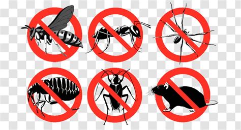 Insecticide Pest Control Pesticide Bedbug Transparent PNG