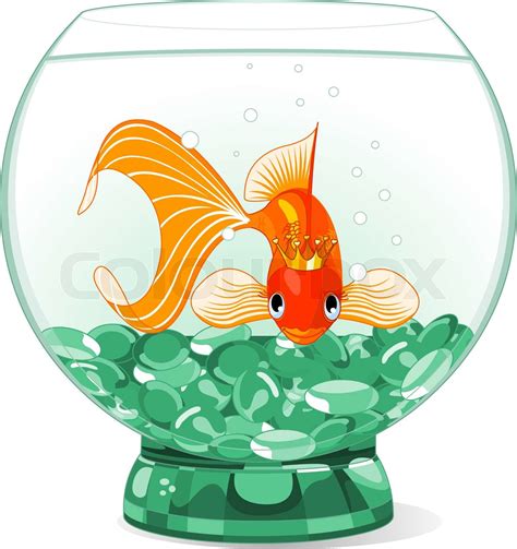 Goldfish In The Aquarium Stock Vector Colourbox
