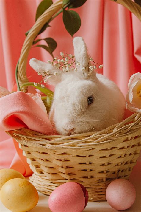 A Bunny In A Basket Beside Easter Eggs Hd Phone Wallpaper Peakpx