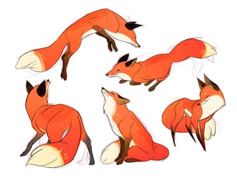 Fox Drawing Reference And Sketches For Artists