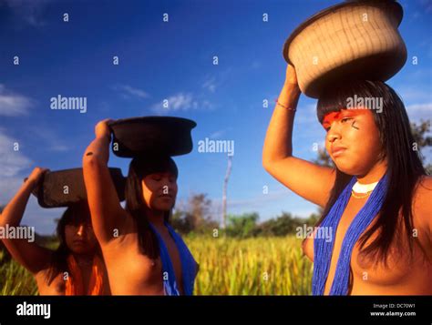 Mehinako Indigener Völker Xingu Amazonas Regenwald Brasilien Stockfotografie Alamy