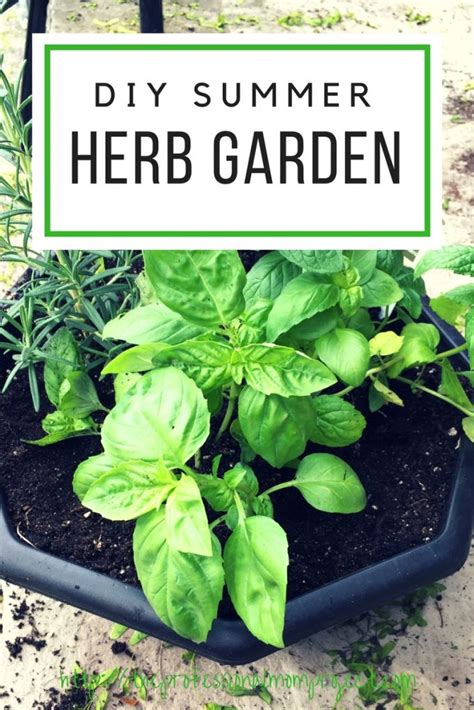 How To Plant A Simple Herb Garden For Beginners