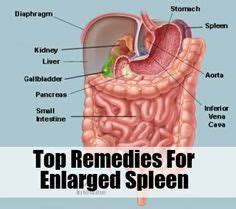 Jun 05, 2021 · symptoms of enlarged liver. Picture of the spleen ( What are the causes of an Enlarged ...