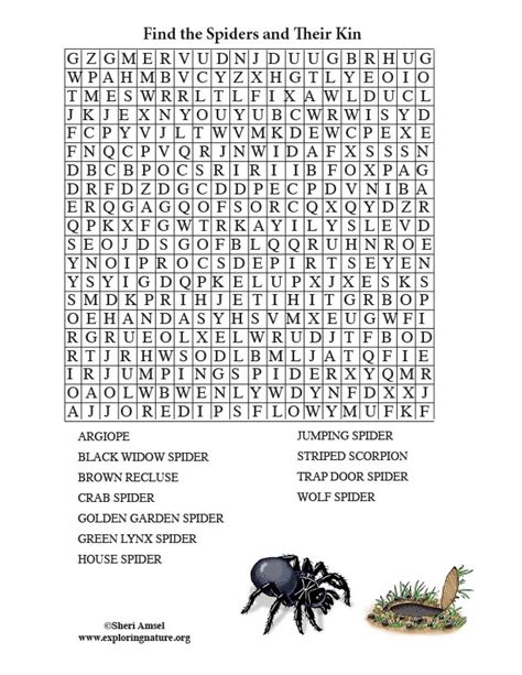Spider Word Search Printable Ocean Words Word Search Printables Gambaran