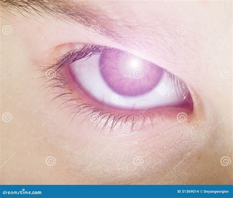 Human Eye And Light Stock Photo Image Of Beauty Closeup 31369014