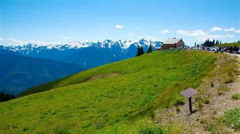 Hurricane Ridge Visitors Center Pictures View Photos And Images Of
