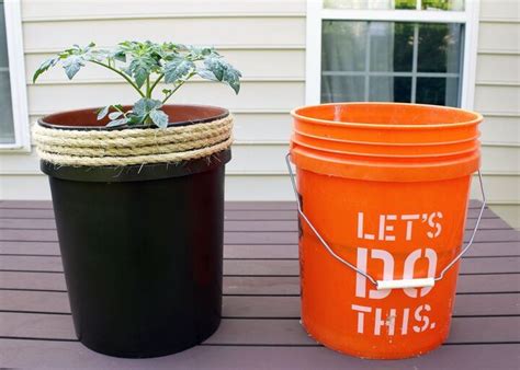 Transform A 5 Gallon Bucket Into A Tomato Planter Hometalk