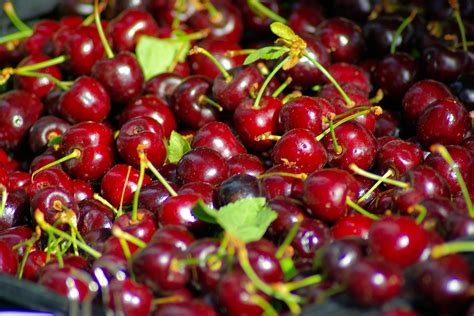 Download Free Photo Of Cherries At The Town Square Cherries Farmers