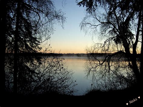 Early Morning Sunrise On A Lake Down Swanson River Road Alaska