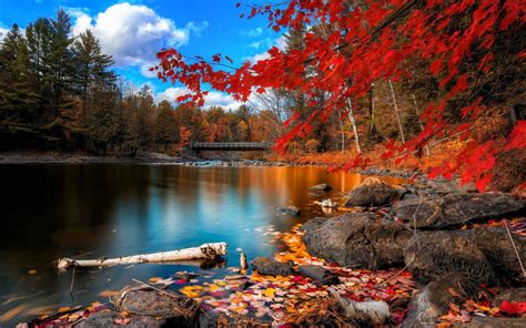 Fall Scenery Wallpapers Top Free Fall Scenery Backgrounds
