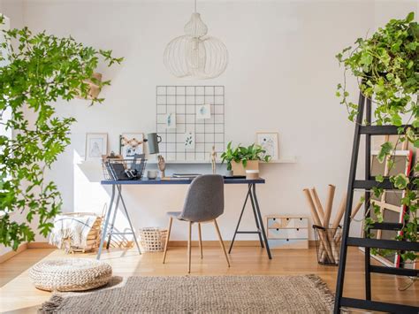 Work At Home Office Space Plants Houseplants For A Home Office