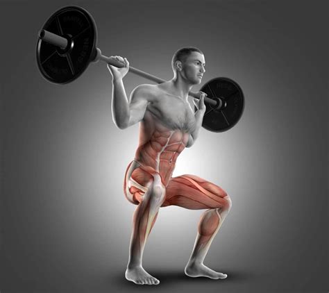 Atg Squat Muscles Worked How To Benefits And Alternatives