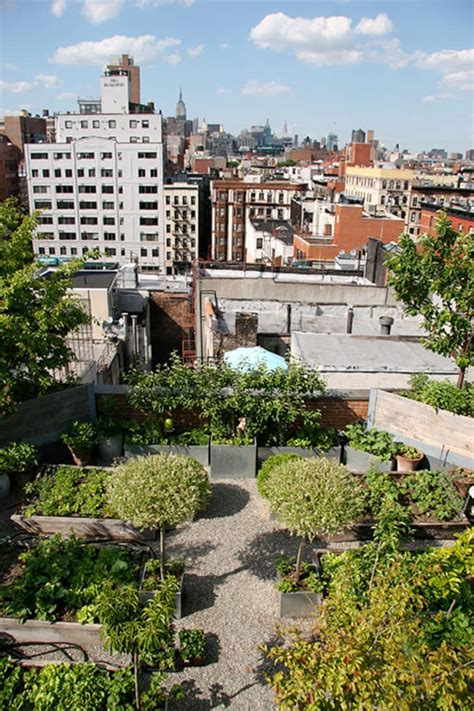 Urban Retreats 9 Dreamy Rooftop Gardens Apartment Therapy