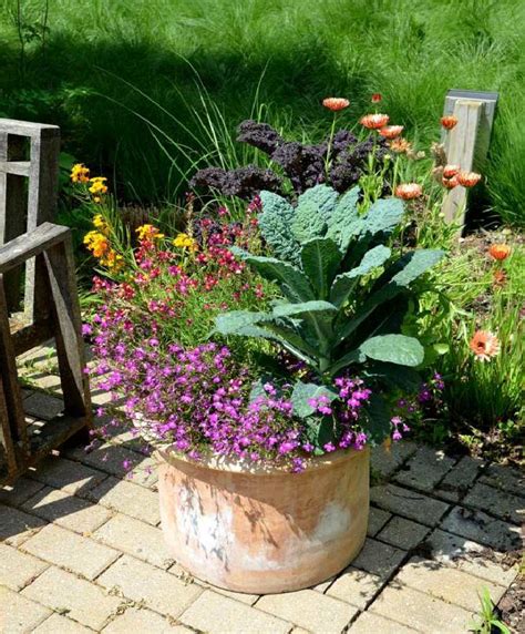 That said, there are some important things to note about adding. Best Vegetables to Grow in Pots | Most Productive ...