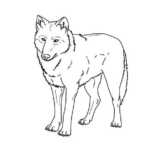 Print & Download - Wolf Coloring Pages Theme