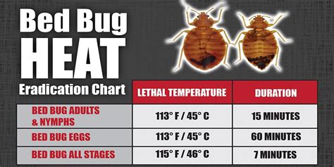 Also effective for spot diy bed bug heat treatment in residential or commercial settings. Bed Bug Heat Info | Rent Bed Bug Heaters