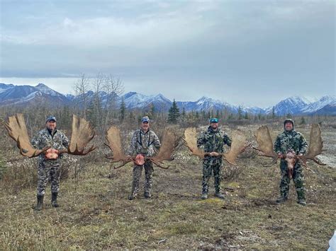 Alaska Moose Hunting Guides Hidden Alaska Guides And Outfitters