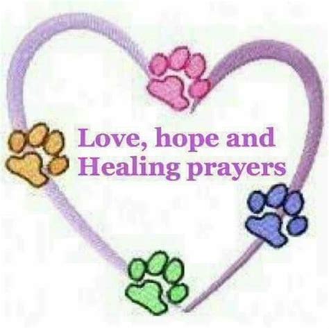 Prayer for the healing of your sick pet † ▻ come, join us in praying in this. Love, Hope, and Healing Prayers paws in heart | Prayers ...