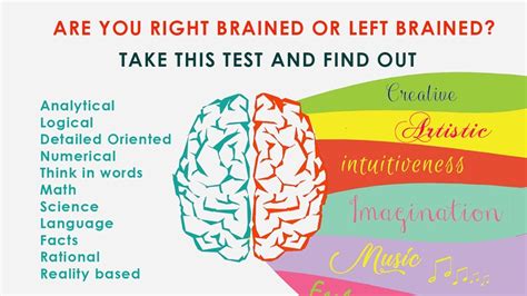 Are You Right Brained Or Left Brained Take This Brain Dominance Test