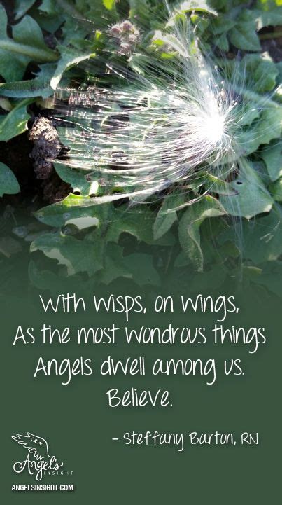 With Wisps On Wings As The Most Wondrous Things Angels Dwell Among Us