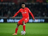 Daniel Sturridge targets top four with Liverpool and then a 'challenge ...