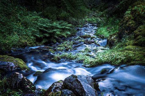 Nature Stream Hd Wallpaper