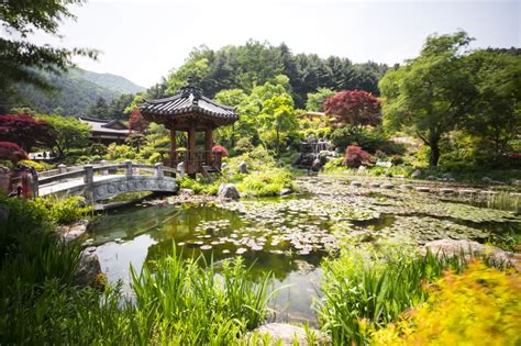 The Garden Of Morning Calm Tour Yoda In Korea