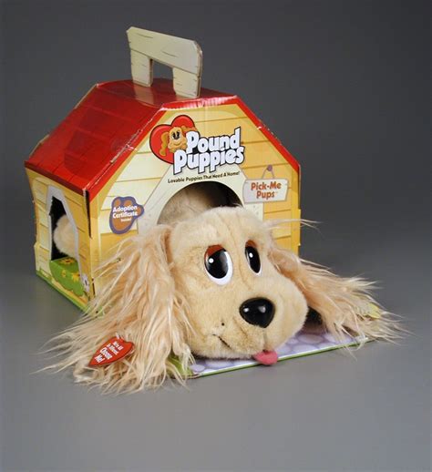 Maybe you would like to learn more about one of these? Pound puppies, pound puppies, pound puppies . . . I so ...