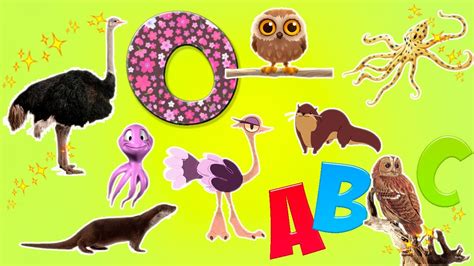 Learn Alphabet With Cartoon And Real Animals For Children Abc Wild