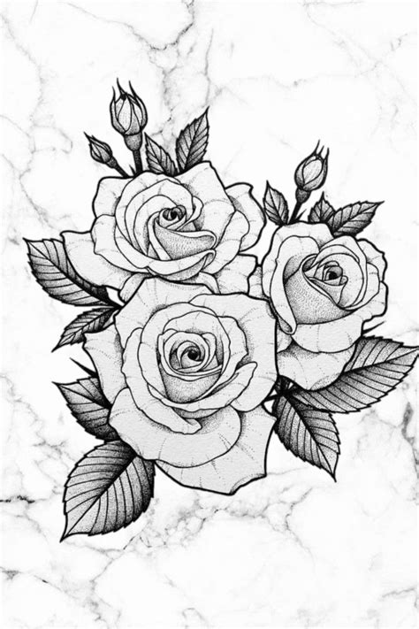 Drawings Of Black Roses