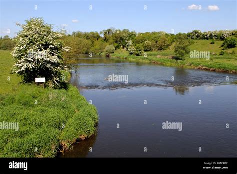 The River Boyne At Bective Close To Trim County Meath Southern Ireland