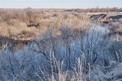 Siberian River Vagai In The Early Morning The Grass And Bushes Are