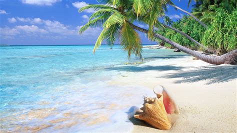Beautiful, Tropical, Beach, Full, Screen, High, Definition ...